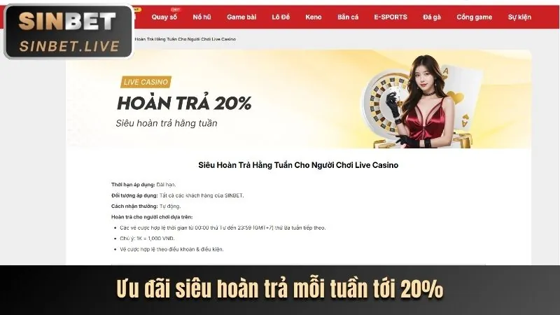 Các chương trình khuyến mãi và ưu đãi hấp dẫn của DN88
